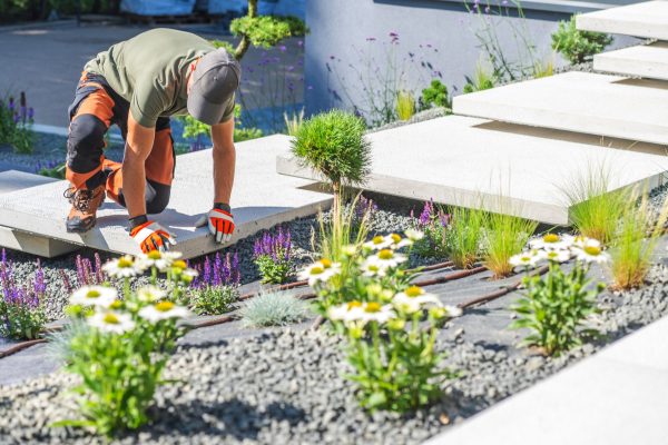 Gardener Planting Flowers in a Modern Landscape Design on a Sunny Day With Stone Pathways