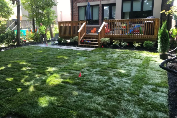New sod and backyard deck by Scott & Sons Landscape Construction